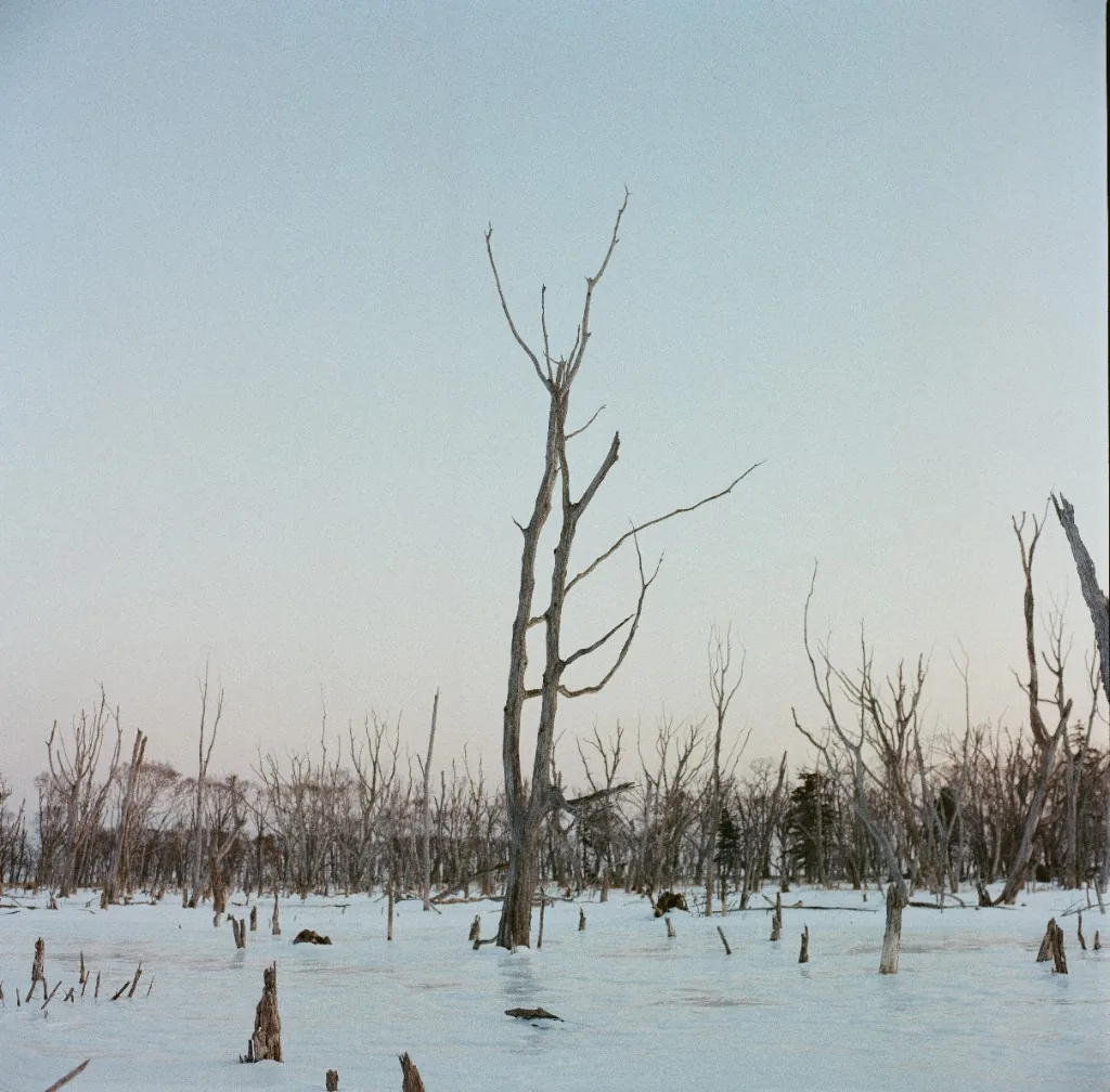 Artwork 16