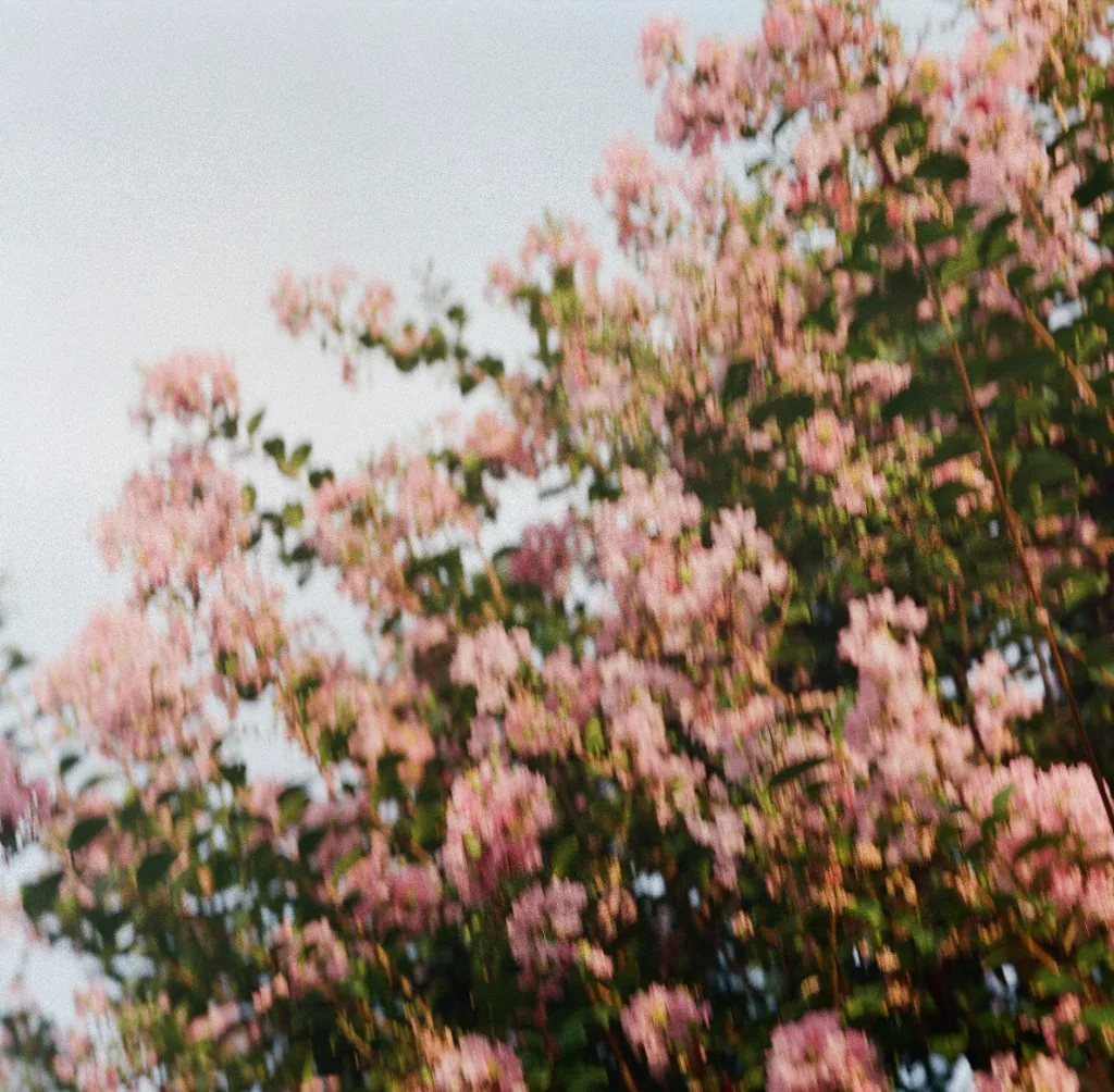 Artwork 13